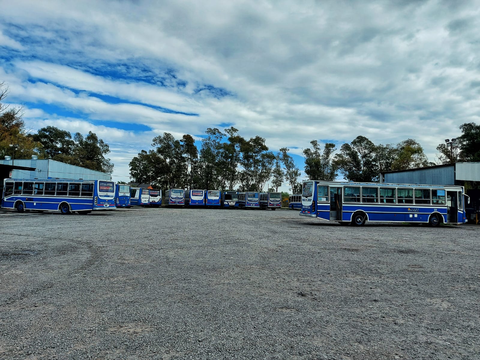 Flota Ruta Bus