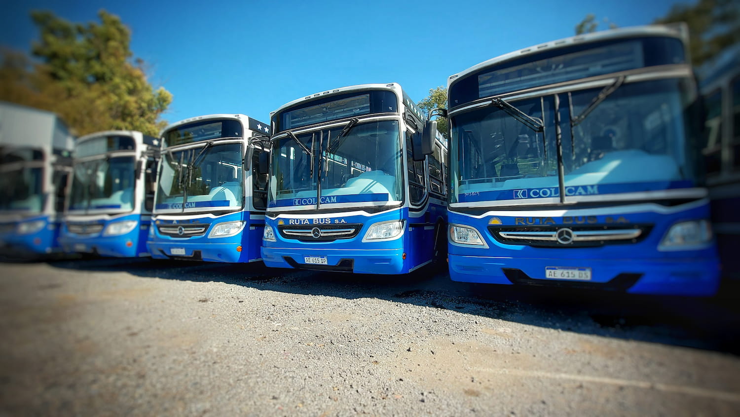 Colectivo de Ruta Bus en servicio